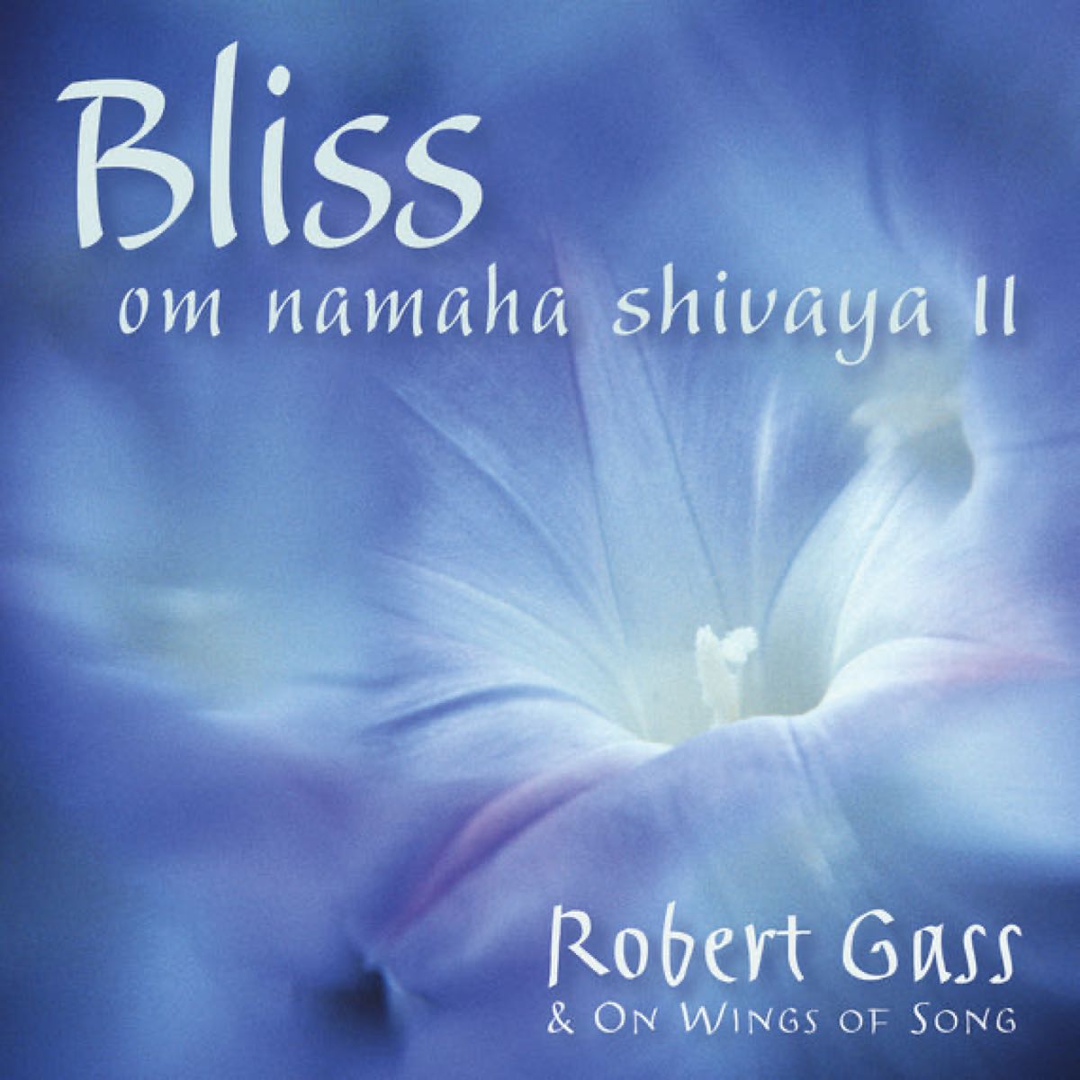 Bliss Om Namah Shivaya Ii